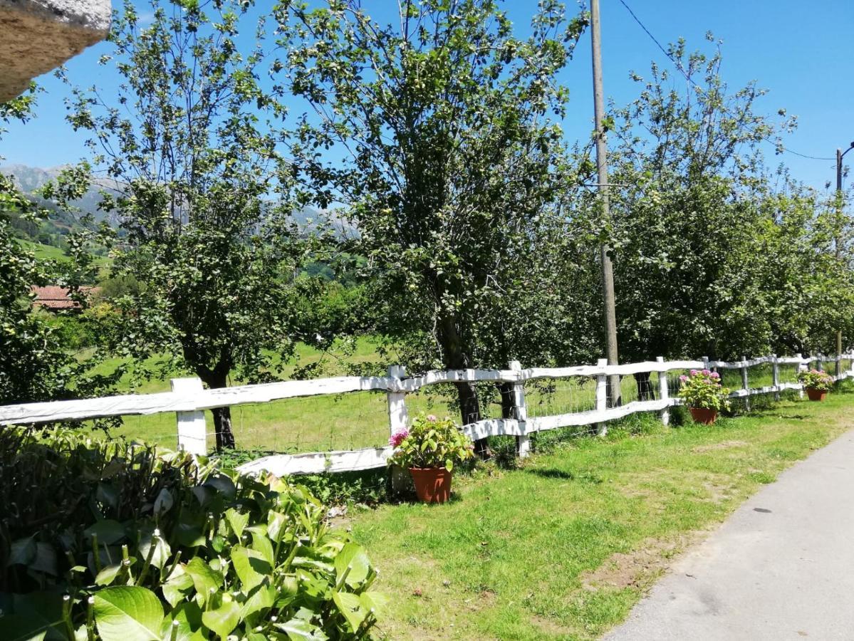 Cereceda  La Casa Nueva Alojamiento Rural المظهر الخارجي الصورة