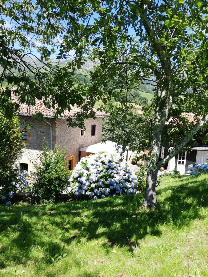 Cereceda  La Casa Nueva Alojamiento Rural المظهر الخارجي الصورة