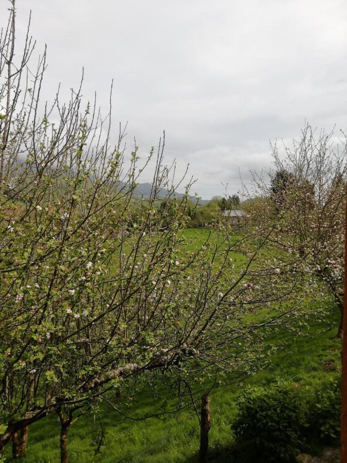Cereceda  La Casa Nueva Alojamiento Rural المظهر الخارجي الصورة