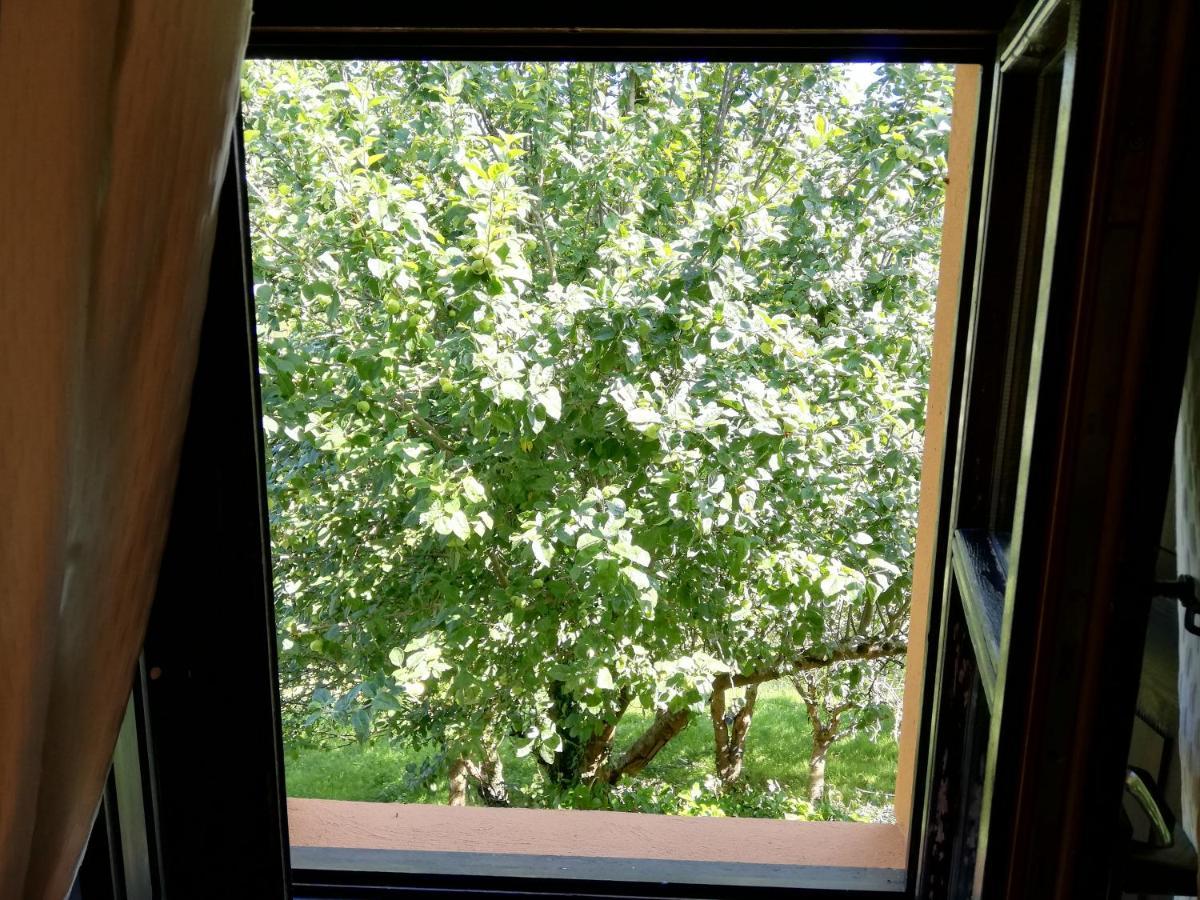 Cereceda  La Casa Nueva Alojamiento Rural المظهر الخارجي الصورة