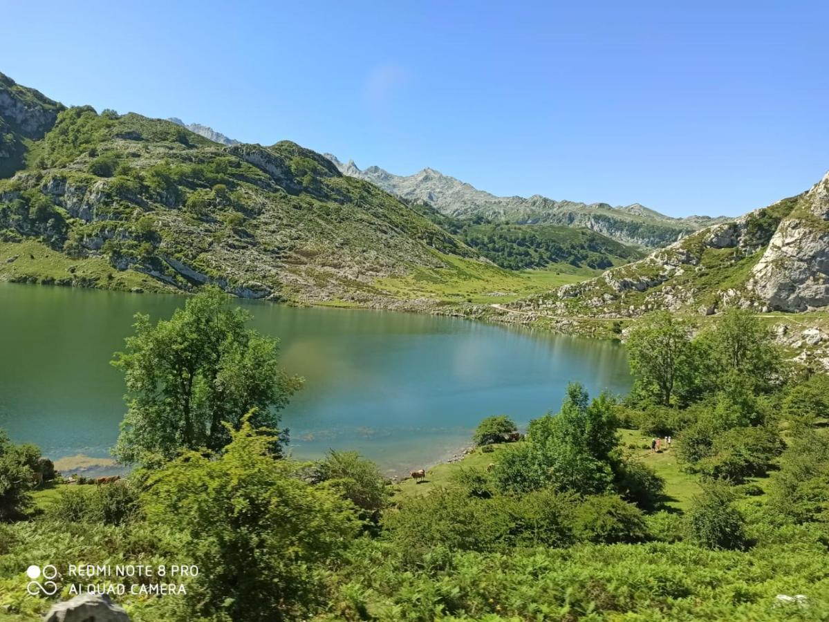 Cereceda  La Casa Nueva Alojamiento Rural المظهر الخارجي الصورة