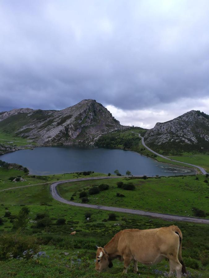 Cereceda  La Casa Nueva Alojamiento Rural المظهر الخارجي الصورة